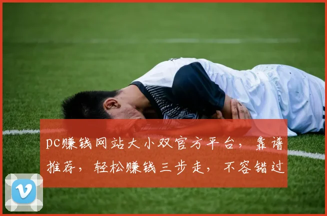 pc赚钱网站大小双官方平台，靠谱推荐，轻松赚钱三步走，不容错过，立即加入